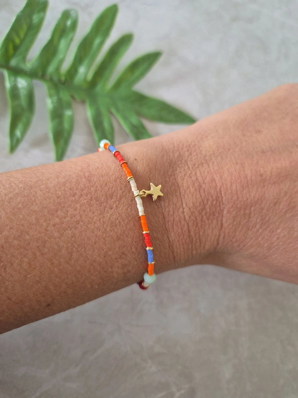 Pulsera Murmullo Multicolor